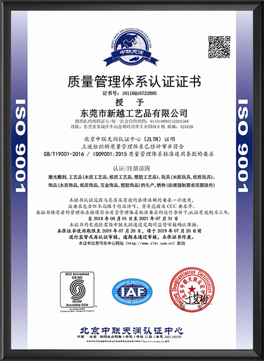 ISO证书中文版